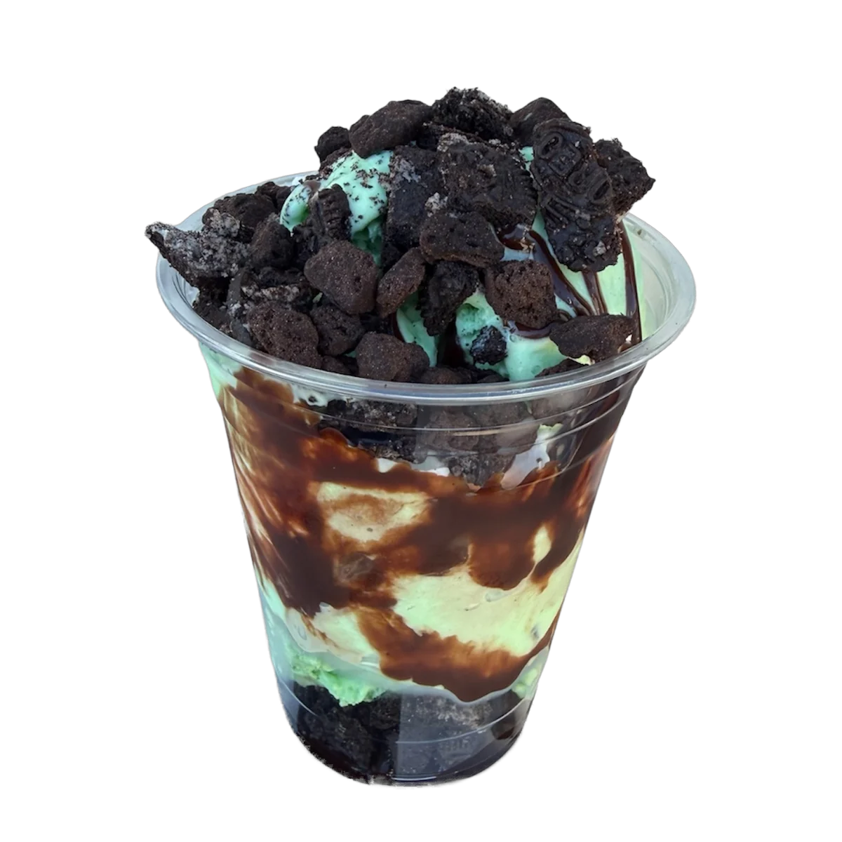Alligata Tracks Cajun Cup with mint chocolate chip ice cream, brownie, chocolate chips, Oreo crumbs, hot fudge